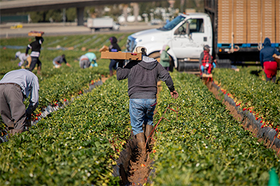 Agriculture worker