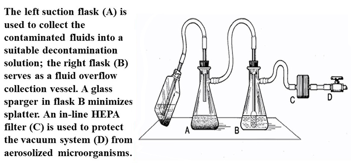 Flask A, Flask B, HEPA Filter C, Vacuum System D