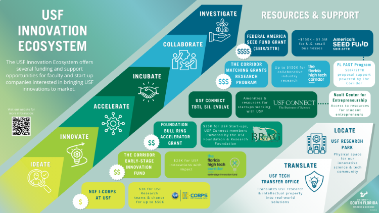 usf innovation ecosystem graphic