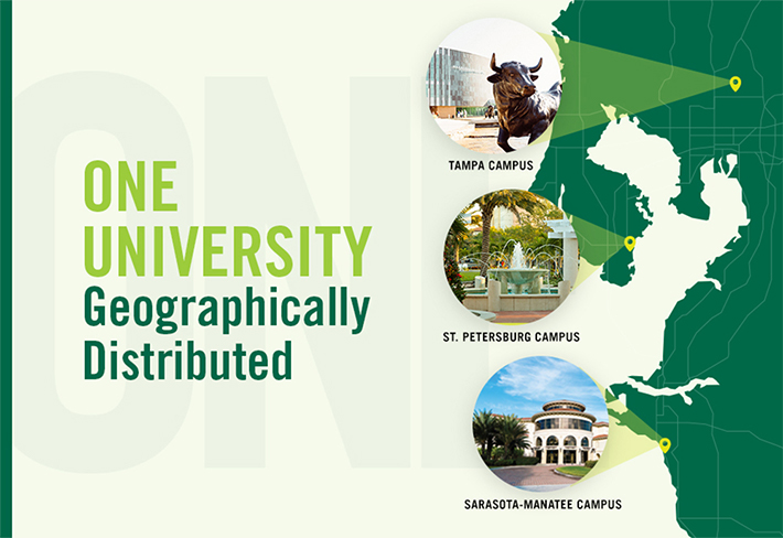 USF: One University