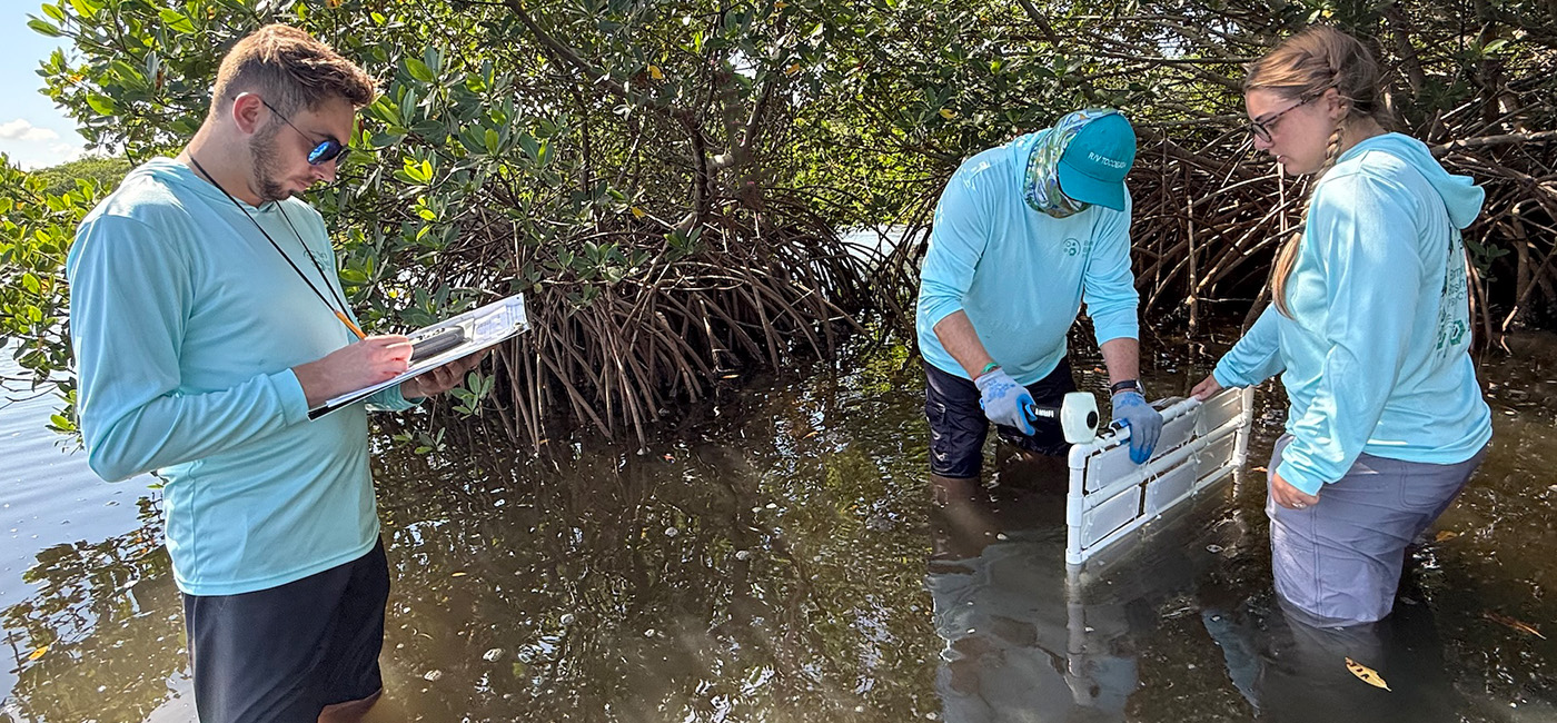 USF scientists build on Deepwater Horizon research with new project targeting toxins in Tampa Bay and beyond