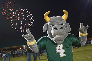 Rocky with Fireworks