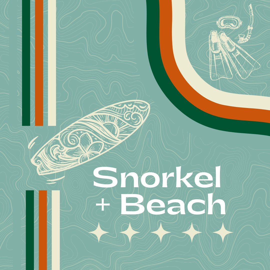 snorkel beach fall trips