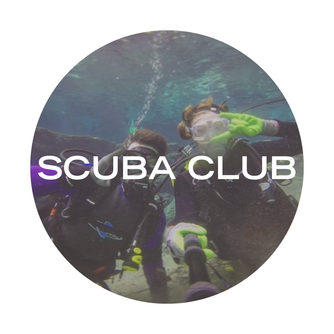 scuba club