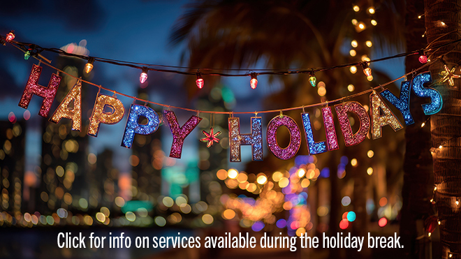 Multicolored shiny Happy Holidays banner with multicolored lights and palm trees in the background
