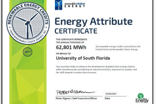 Renewable Energy Credit (Carbon Offset Purchase)