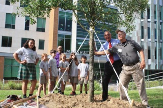 Tree planting: Phase I