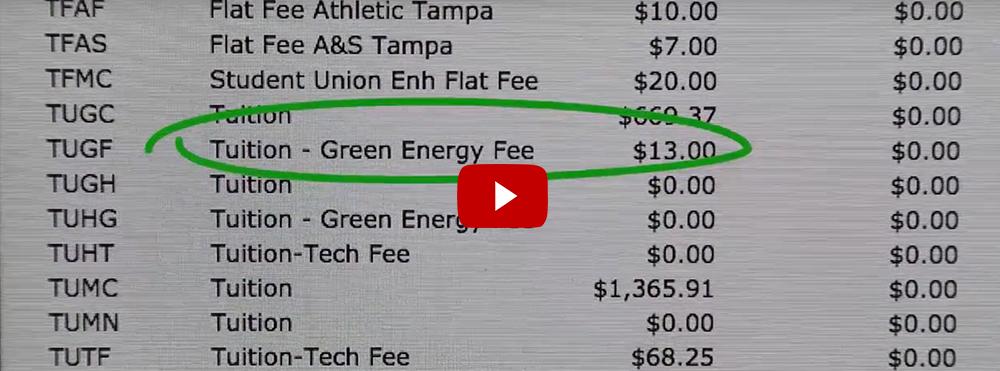 Green Energy Fee