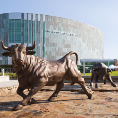 Bull Fountain in front of the marshall student center