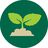 seedling icon to represent environment and sustainability