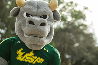 Rocky D. Bull photo placeholder