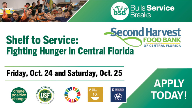 Second Harvest Bulls Service Break