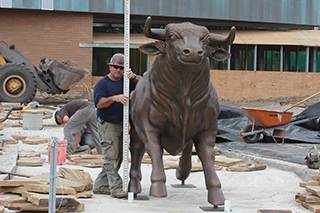Construction worker with bull
