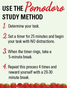 Study tips