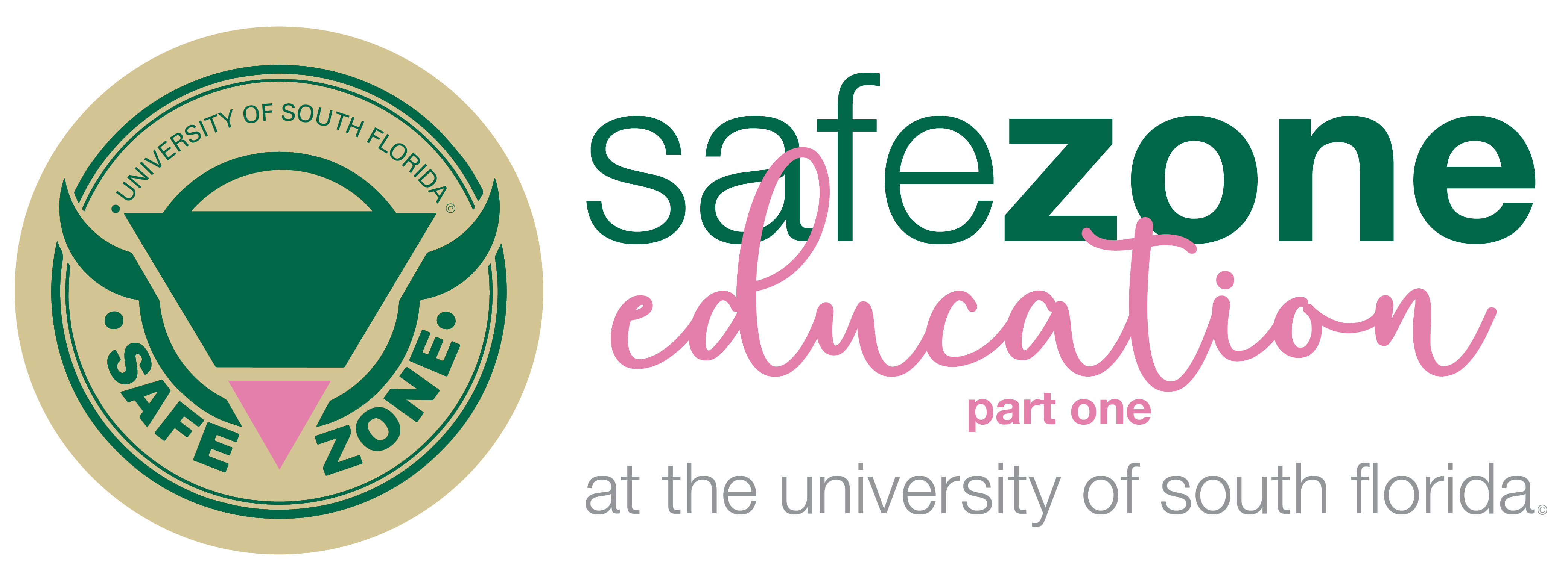 Safe Zone: Education Part One