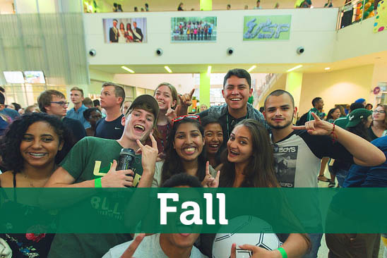 Fall