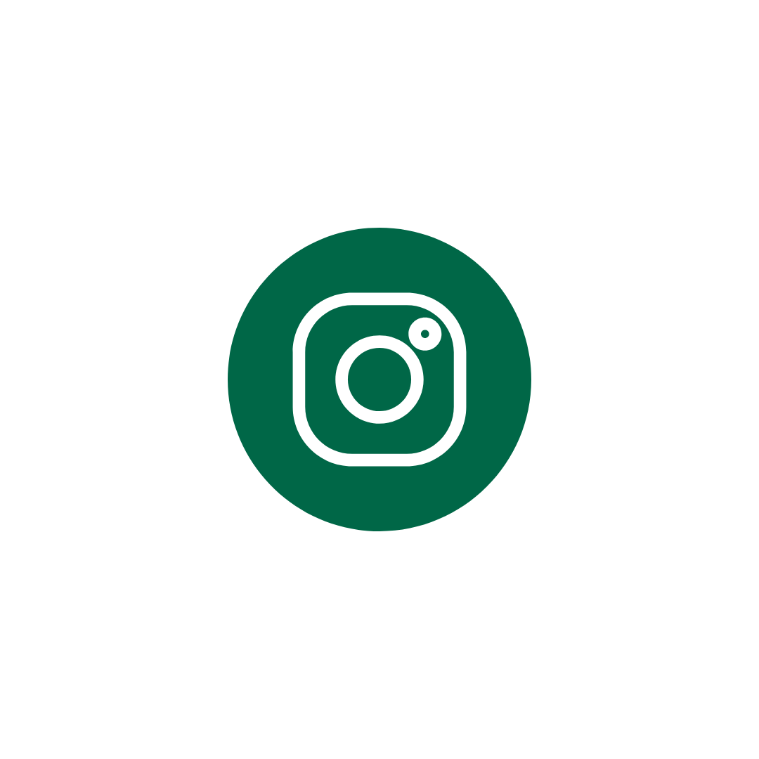 Instagram Icon