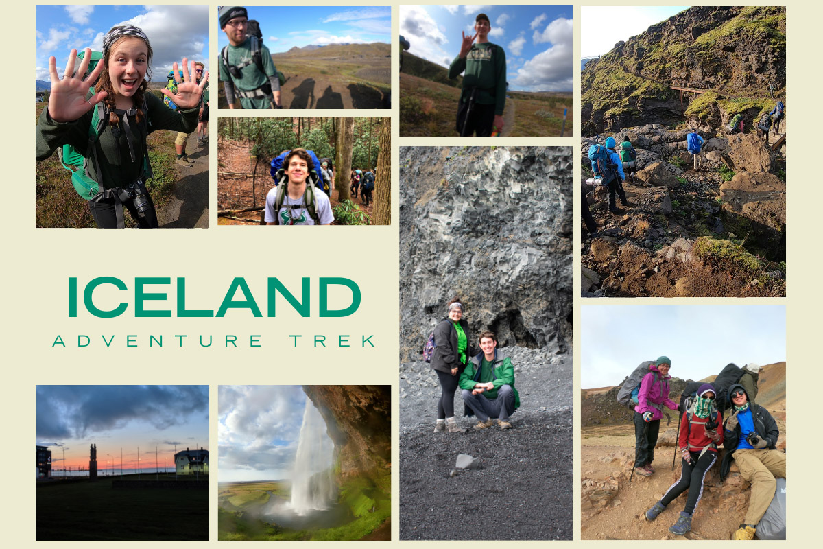 Iceland Trek