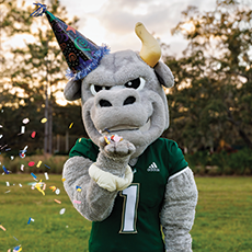 Rocky in a birthday hat