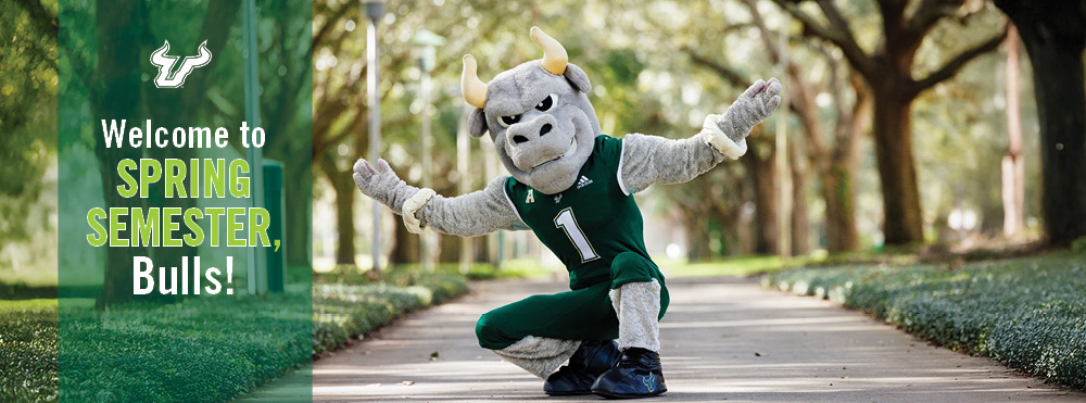 Welcome to Spring Semester, Bulls! with white USF logo and Rocky outdoors with arms open wide in welcome