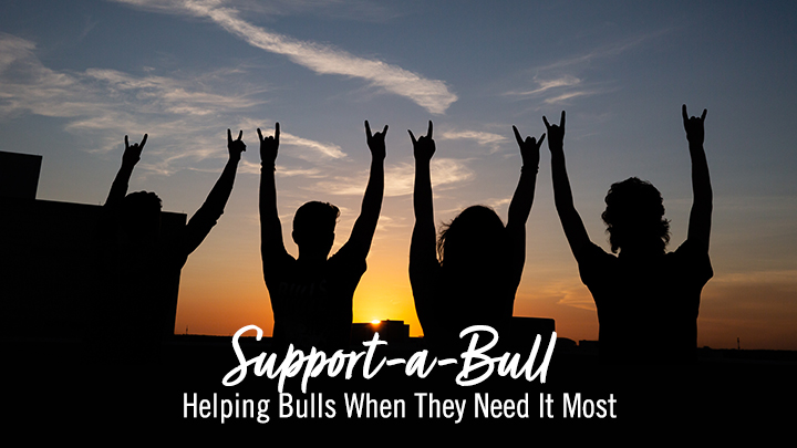 silhouette of four students on a rooftop looking at the sunset with their arts raised and doing the Bulls hand sign with message "Support-a-Bull, Helping Bulls When They Need It Most"