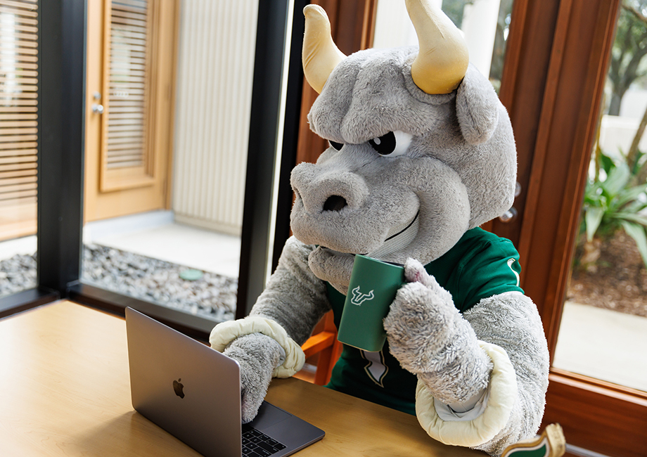 Rocky D. Bull sitting at a desk, working on a laptop and holding a coffe tumbler.