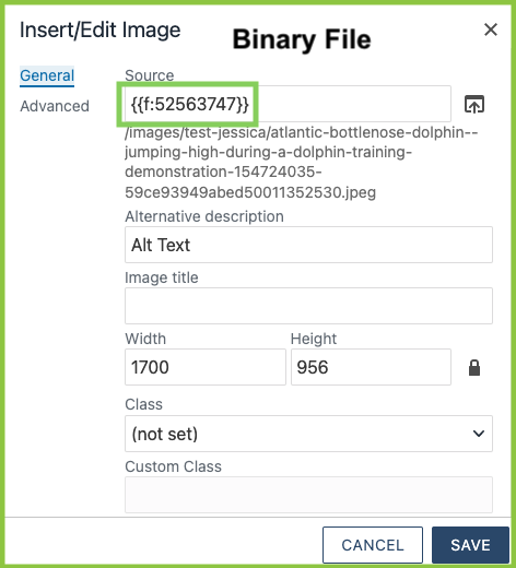 Binary file screenshot