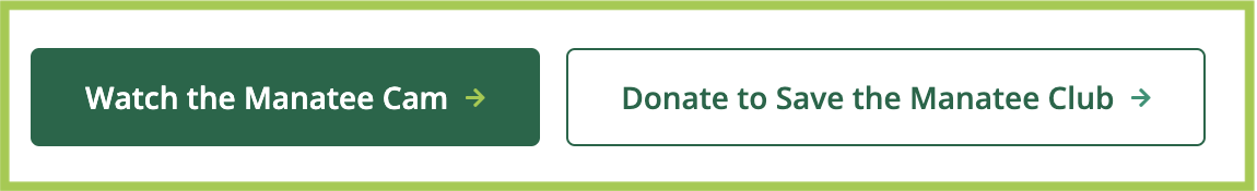 Display of Button Component