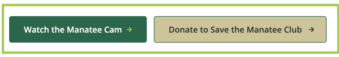 Display of Button Component