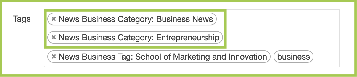 Screenshot of news site categories in the parameters section of an article
