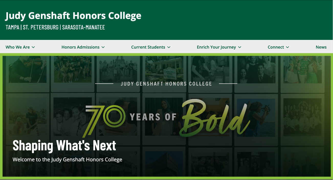 Screenshot highlighting the Feature Area section of a Default Homepage