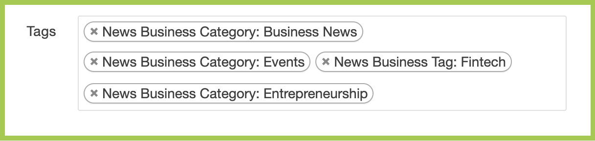 Screenshot of Tag section in a news article Parameters section