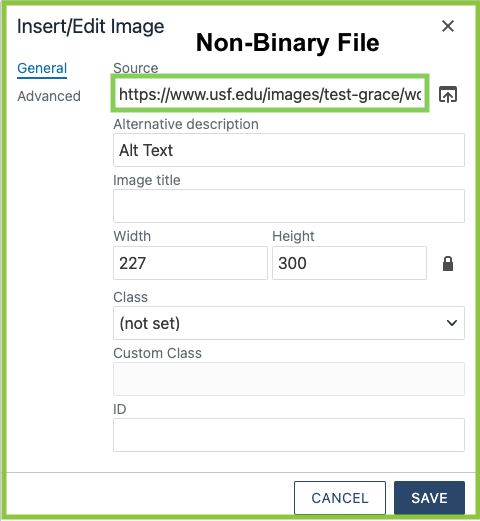 Non-binary file screenshot