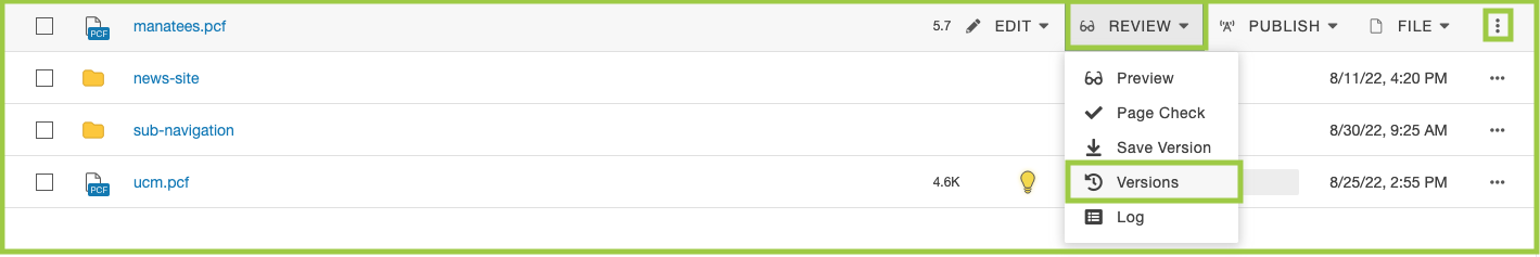 Screenshot of Versions via the Page List view