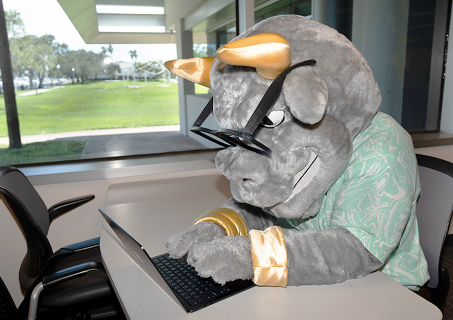 Rocky the Bull typing on a laptop