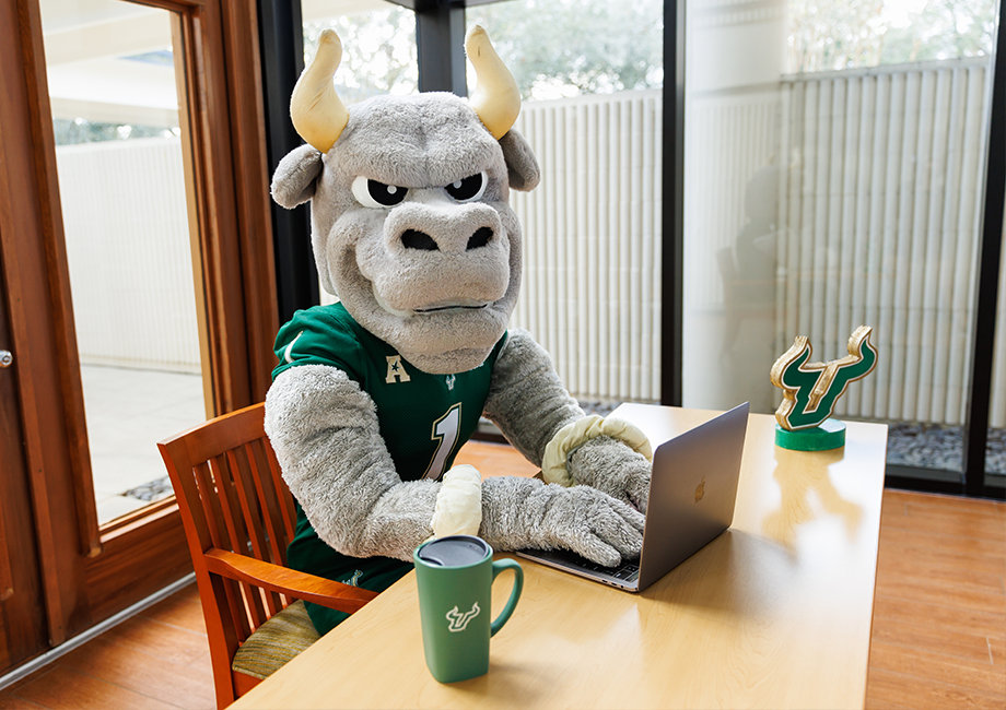 Rocky the Bull sitting at a desk with a laptop