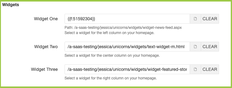 Screenshot of widget URL fields within a homepage