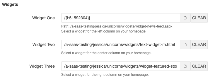 Screenshot of widget URL fields within a homepage