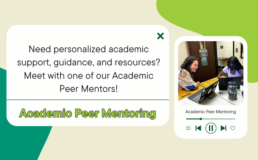Academic Peer Mentoring
