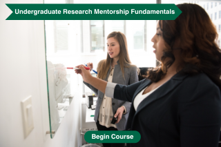 Rise Articulate Course: Undergraduate Research Mentorship Fundamentals