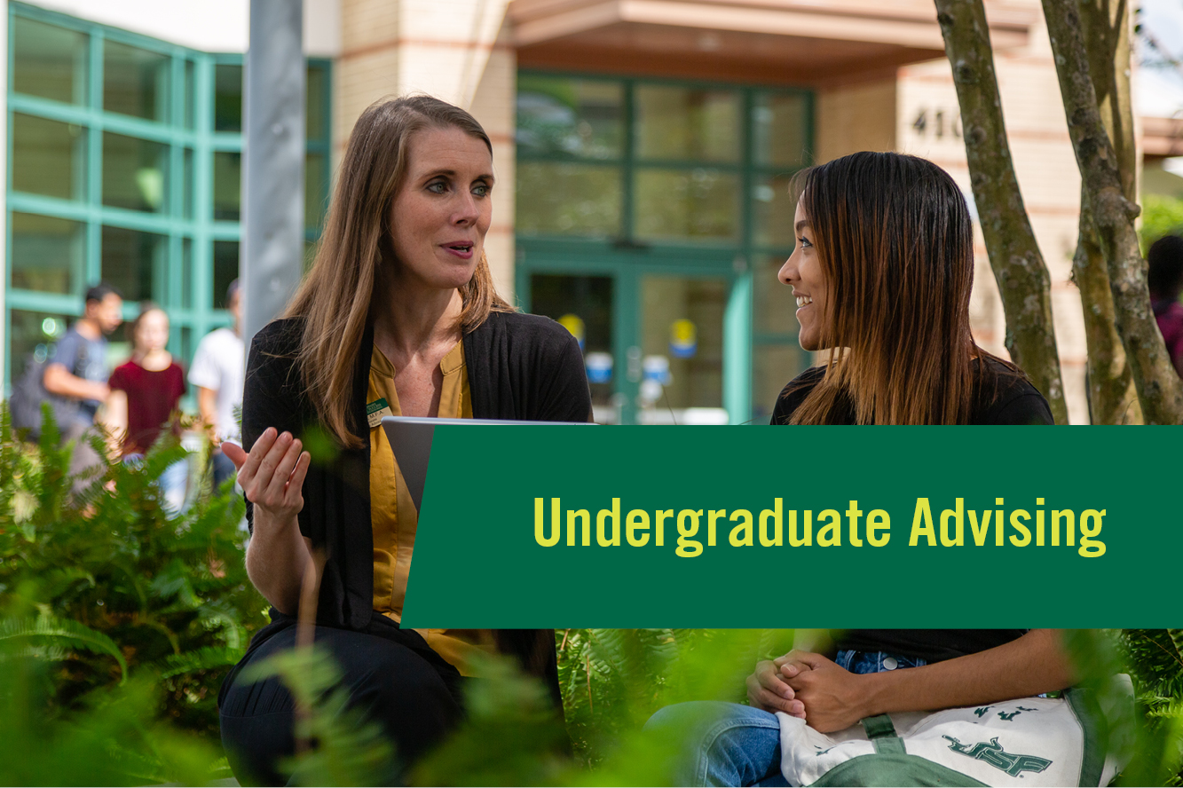 Find an undergraduate advising office.