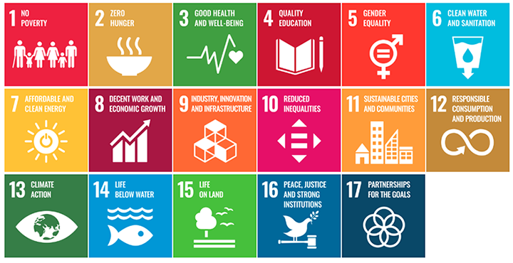 17 Sustainable Development Goals