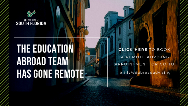 Remote Advising - Virtual Advising