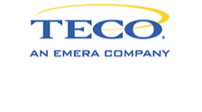 blue and yellow TECO logo