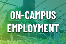 On-Campus Employment