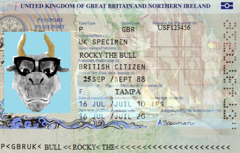 Passport Example