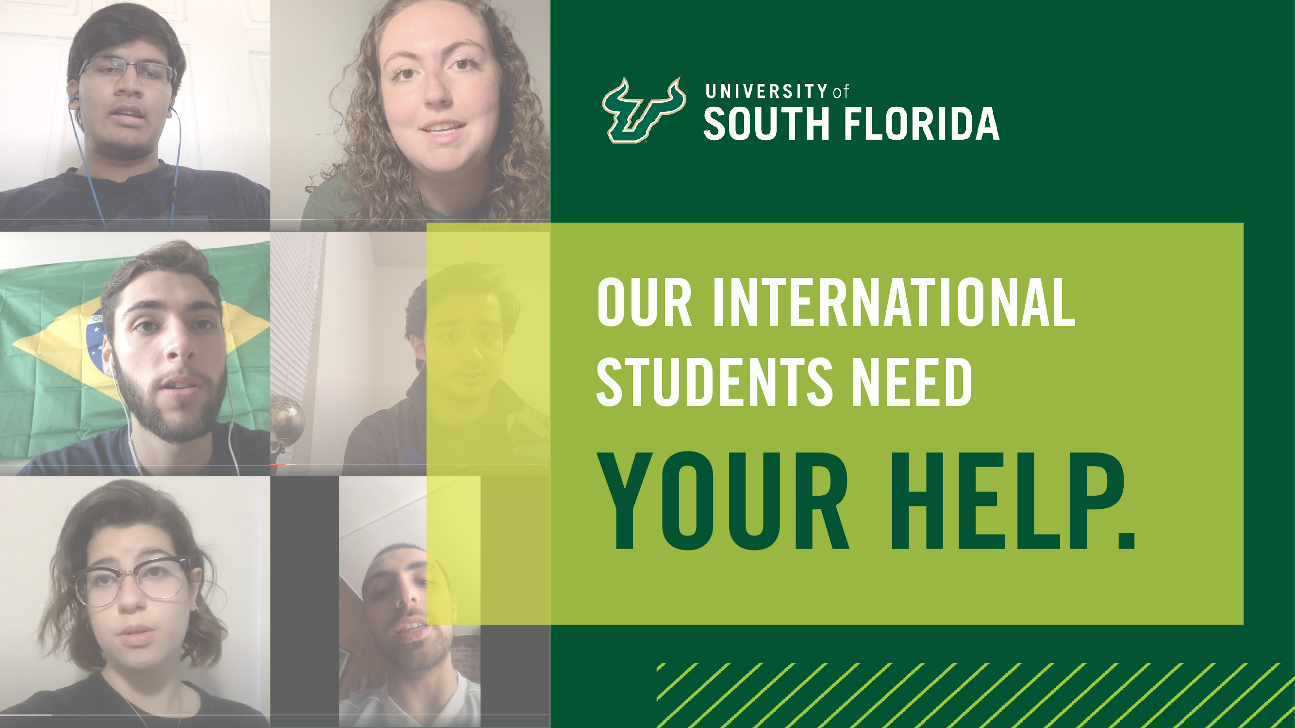 International student support Herdfunder thumbnail image