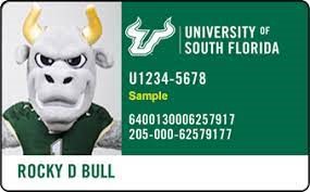 sample picture of student id card with USF mascot Rocky the Bull pictured