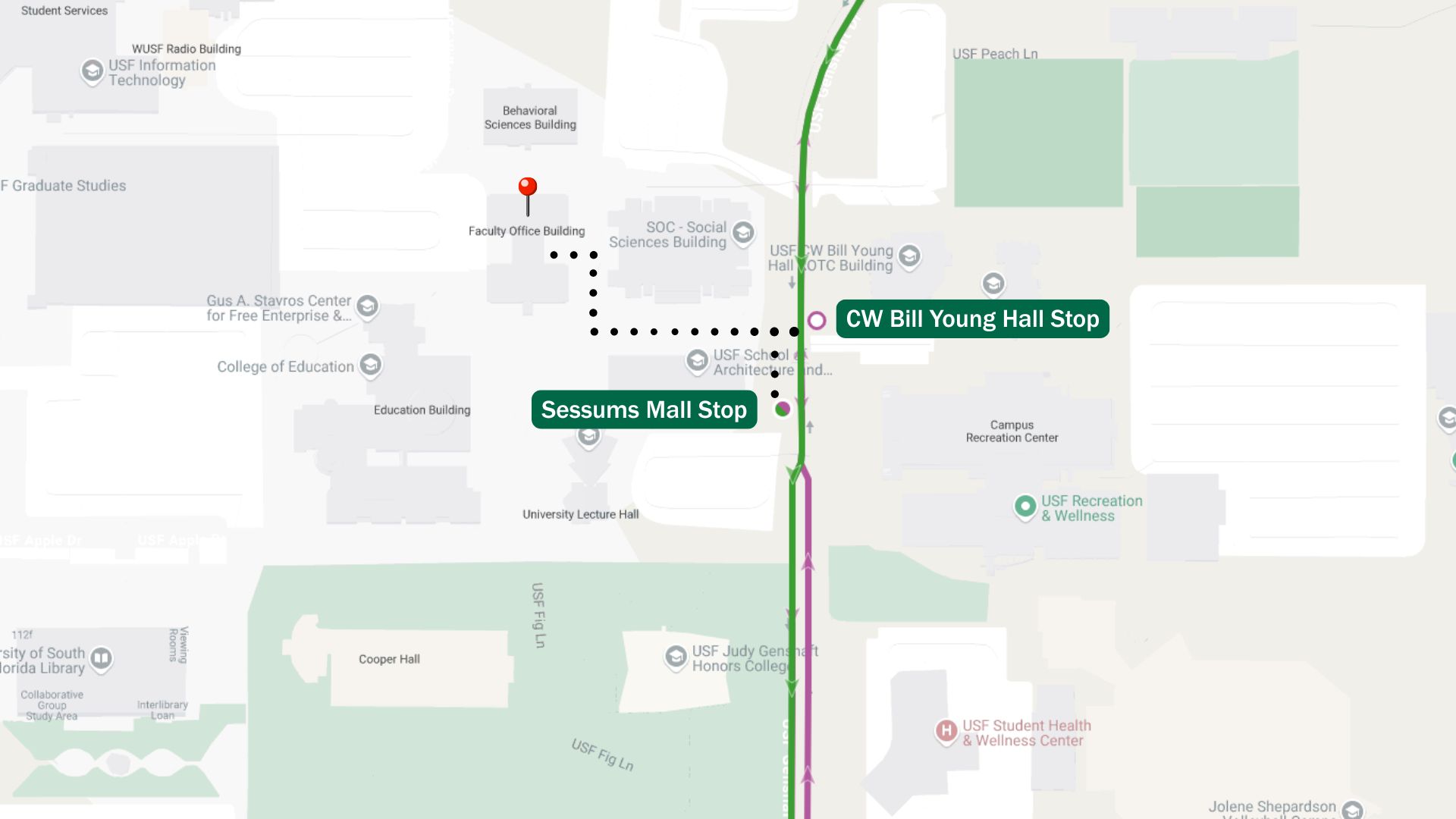 A graphical map. The map displays two bus routes that are closest to the FAO building, the Green and Purple lines. The bus stop north (CW Bill Young Hall Stop) and the south stop (Sessums Mall Stop) are the closest to FAO. The map further depicts a dotted line where riders can walk to the building.