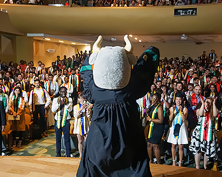 Rocky the bull mascot faces away from the camera and is raising arms towards a cheering crowd of graduation students.
